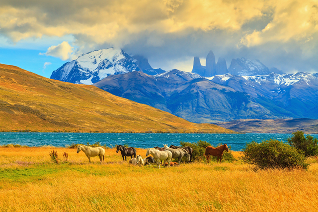 Chile Budget Travel Discounts