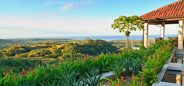 Sea Turtles, Surf and Sand: 7 Unbelievable Things to do in Tamarindo, Costa Rica hero image