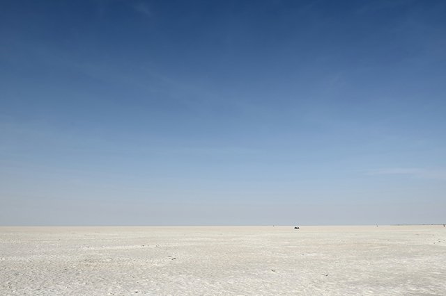 Salt Desert India