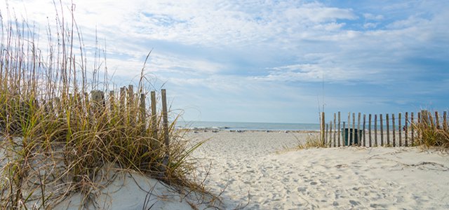Hilton Head’s Best Outdoor Adventures for the Family hero image