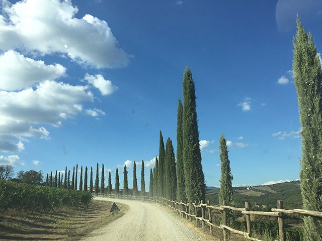 Tuscan road