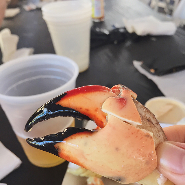 Stone Crab Festival Clearwater