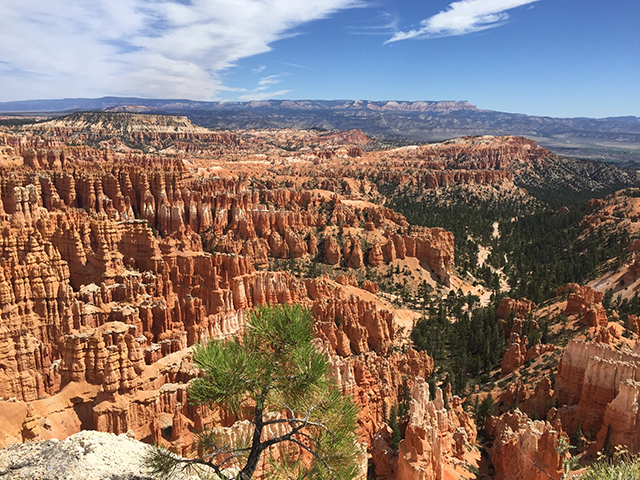 Bryce National Park