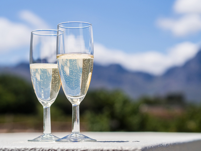 Cape Town Winelands