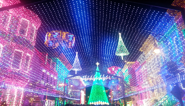 Disney Christmas Lights 2015