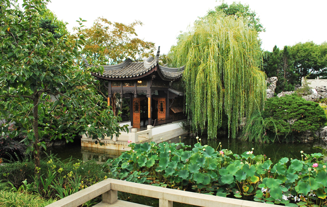 Chinese Garden Portland