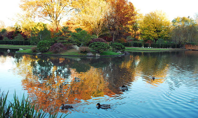 St Louis Garden