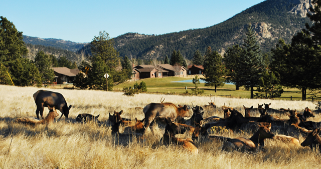 Road Trips from Boulder