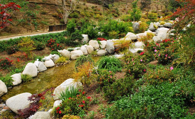 Japanese Garden San Diego