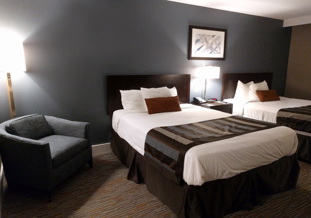 Wingate by Wyndham Room Review