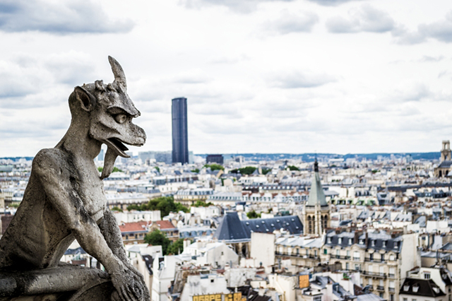 Notre Dame Cathedral Gargoyle