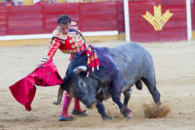 Bull Fighting in Spain