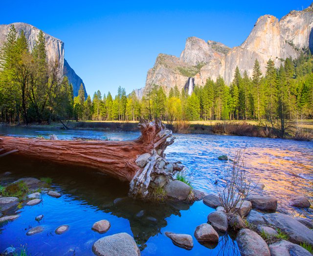 Yosemite National Park USA Travel Tips