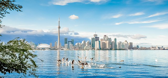 The Best Things to See and Do in Toronto hero image