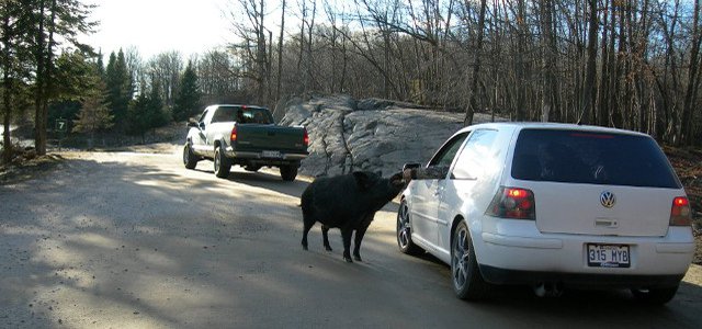 Off the Beaten Path Parks in Canada hero image