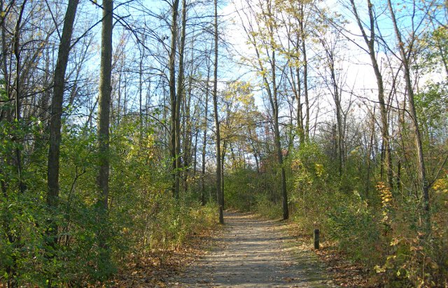 Bois de Lile Bizard Canada Park