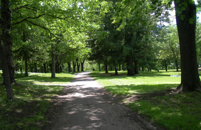 Parc Mont Royal