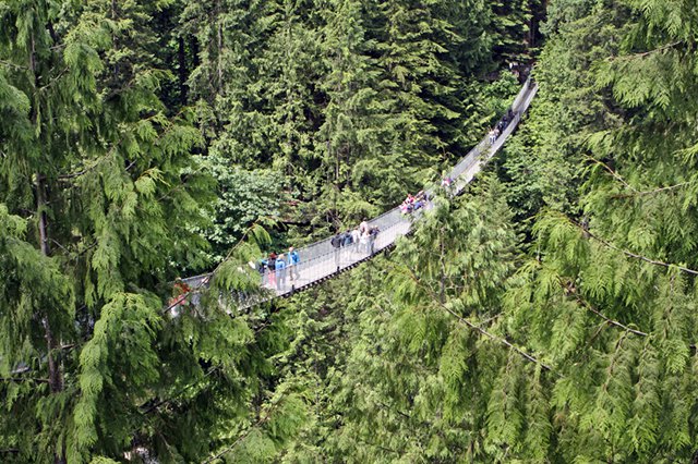 Capilano Suspension Bridge Vancouver