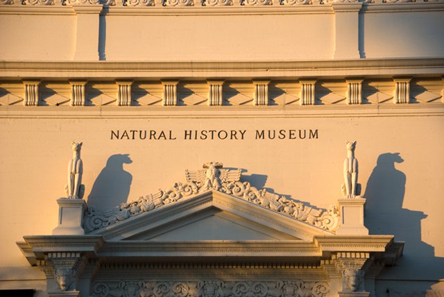 Museum of Natural History San Diego