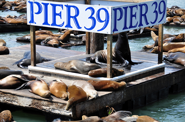 Pier 39 San Francisco