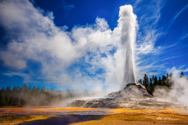 Yellowstone National Park