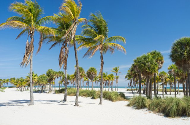 Key Biscane Miami Beach Guide