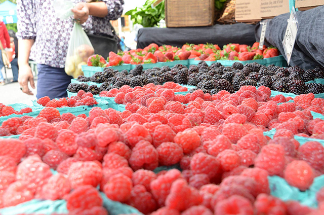 Portland Farmers Market