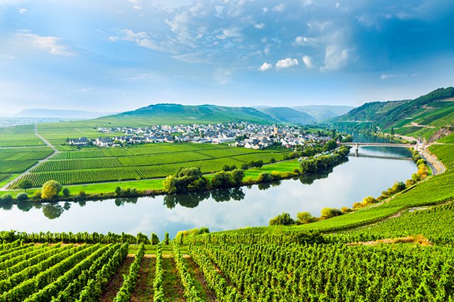Germany Best Wine Regions