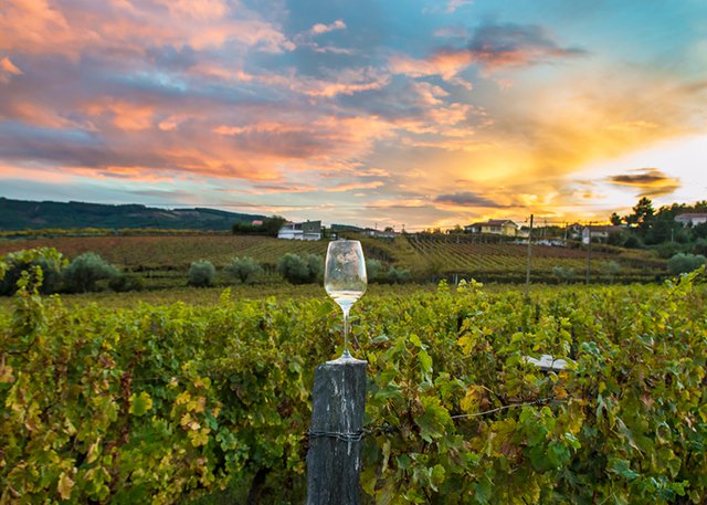 Best Wineries USA Free Travel Guide