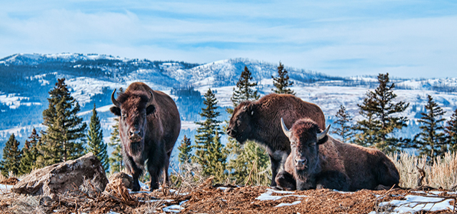 The 10 Most Jaw-Dropping Hiking Destinations in the U.S. hero image