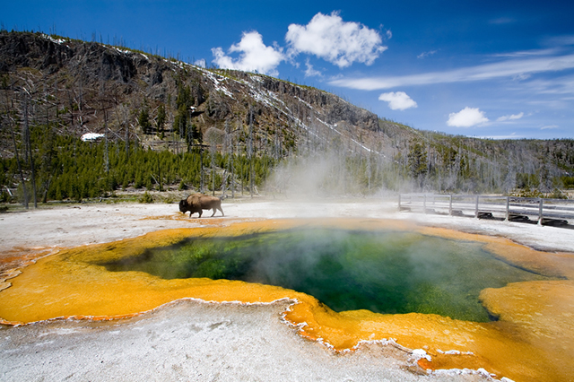 Yellowstone USA Hiking Trails