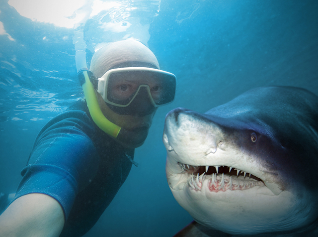 Dive with Sharks South Africa