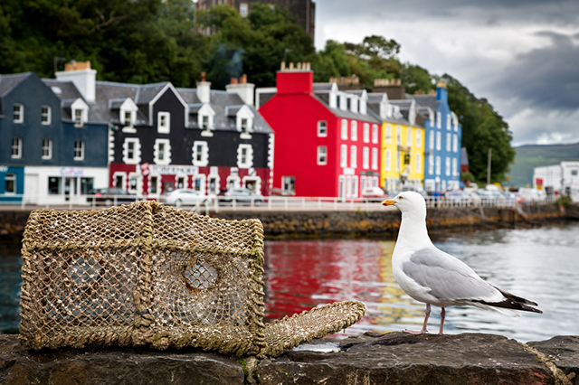 Tobermory Scotland