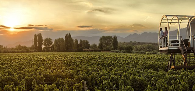 Mendoza: Where to Stay and What to Do in Argentina’s Wine Country hero image