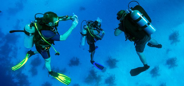 Swimming with Sea Creatures: 5 Stellar Spots in the Caribbean to Get Your Start in Scuba hero image