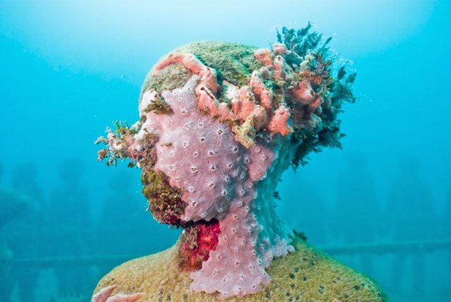 Grenada Underwater Park