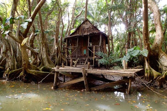 Bush Bar Dominica