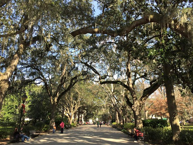 Forsyth Park Savannah