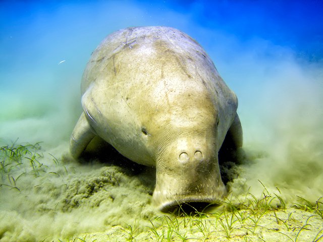 Sydney Aquarium