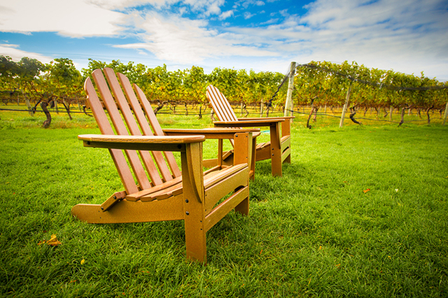 Long Island Wineries