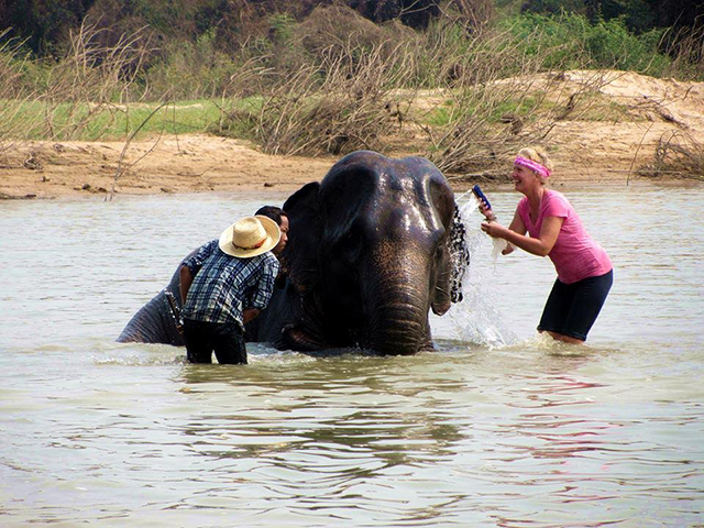 Elephant Nature Park Chiang Mai Thailand