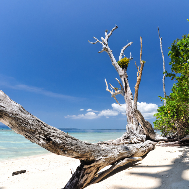 Havelock Island India