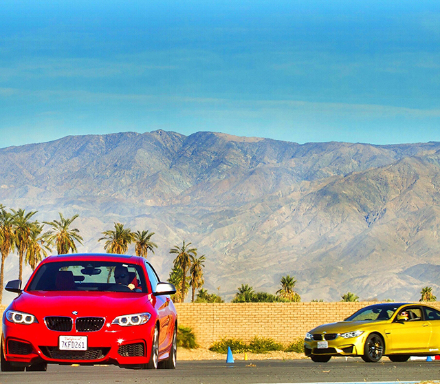 The Top 7 Things to do in Palm Springs - Allied Business Network