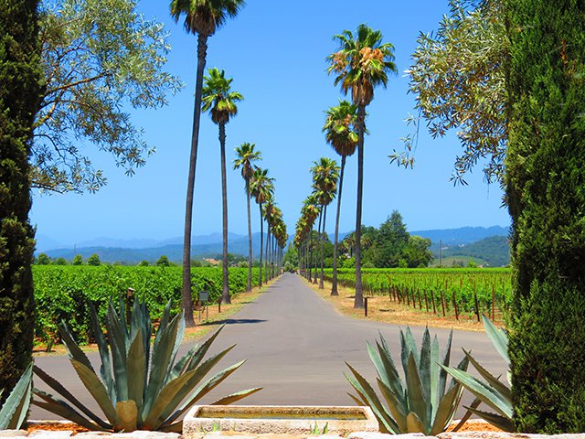 Round Pond Estate Tasting Room Napa