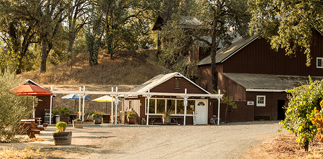 Pope Valley Winery Napa