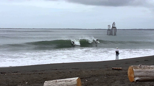 Surfing Westport WA