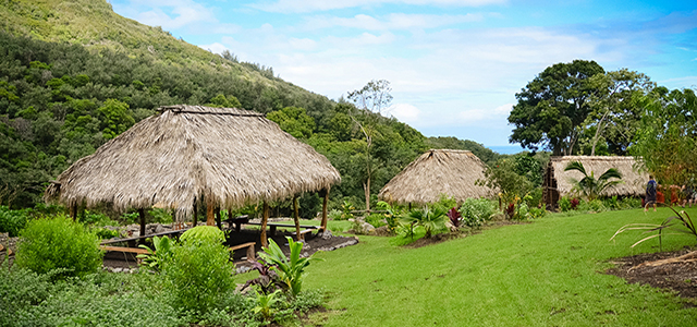 Travel Deeper: 7 Activities in Maui That Will Teach You About the Local History and Culture hero image