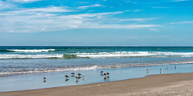 New Smyrna Beach Florida