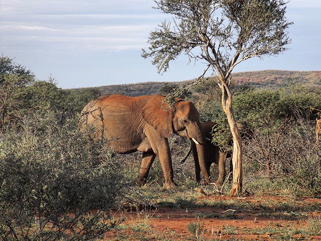 Best Safari Hotel South Africa