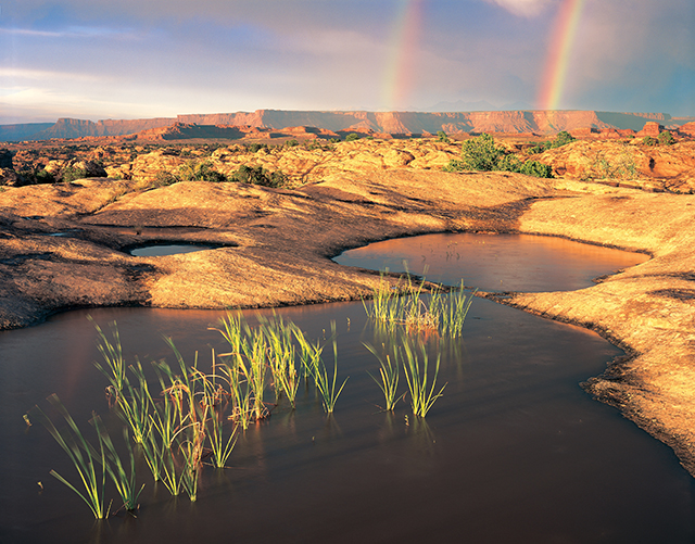 Canyonlands National Park USA